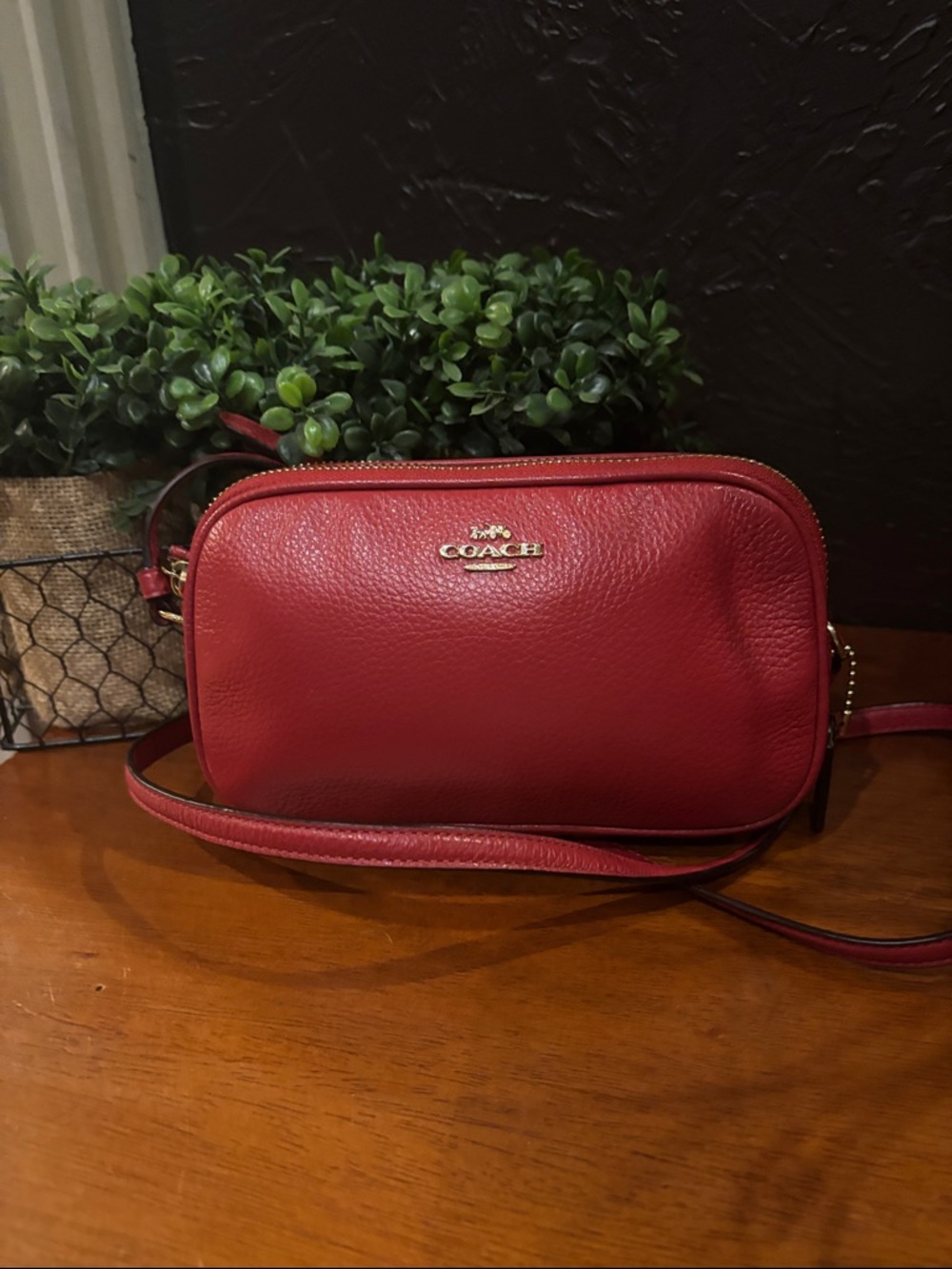 Coach Pebbled Leather Double Zip Crossbody Pouch EUC